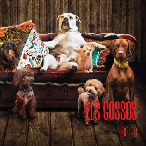 Gossos